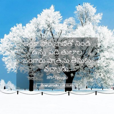 Picture 05 - సంఖ్యాకాండం 7:38 TELIRV - ఇంకా సాంబ్రాణితో - Bible Verse Picture