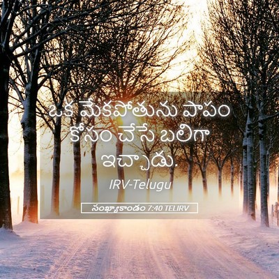 Picture 05 - సంఖ్యాకాండం 7:40 TELIRV - ఒక మేకపోతును పాపం - Bible Verse Picture