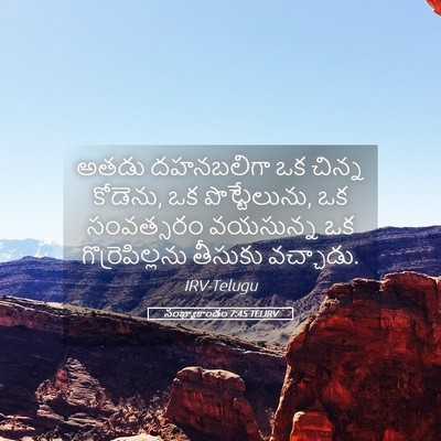 Picture 05 - సంఖ్యాకాండం 7:45 TELIRV - అతడు దహనబలిగా ఒక - Bible Verse Picture