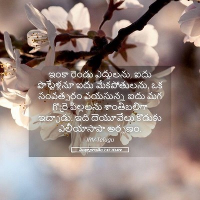 Picture 05 - సంఖ్యాకాండం 7:47 TELIRV - ఇంకా రెండు - Bible Verse Picture