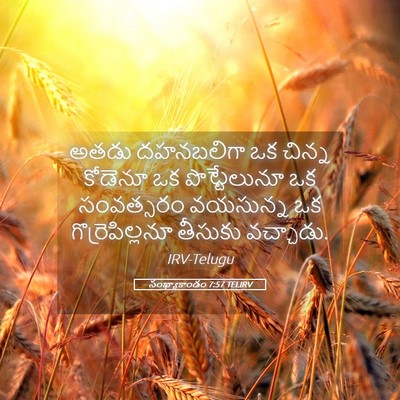 Picture 05 - సంఖ్యాకాండం 7:57 TELIRV - అతడు దహనబలిగా ఒక - Bible Verse Picture