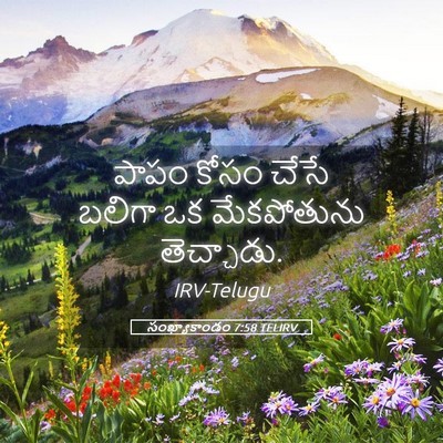 Picture 05 - సంఖ్యాకాండం 7:58 TELIRV - పాపం కోసం చేసే - Bible Verse Picture
