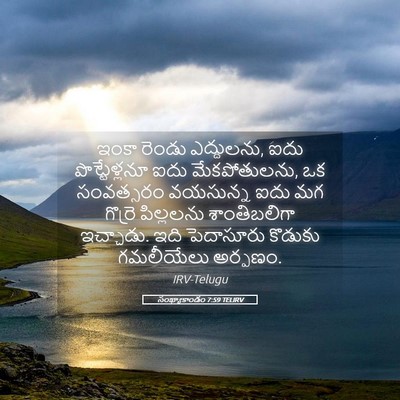 Picture 05 - సంఖ్యాకాండం 7:59 TELIRV - ఇంకా రెండు - Bible Verse Picture