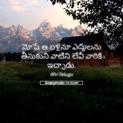 Picture 05 - సంఖ్యాకాండం 7:6 TELIRV - మోషే ఆ బళ్లనూ - Bible Verse Picture
