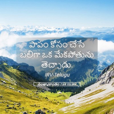 Picture 05 - సంఖ్యాకాండం 7:64 TELIRV - పాపం కోసం చేసే - Bible Verse Picture