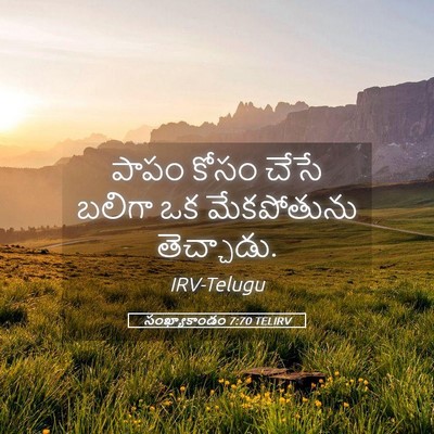 Picture 05 - సంఖ్యాకాండం 7:70 TELIRV - పాపం కోసం చేసే - Bible Verse Picture