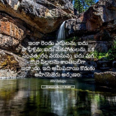 Picture 05 - సంఖ్యాకాండం 7:71 TELIRV - ఇంకా రెండు - Bible Verse Picture