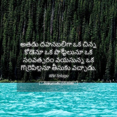 Picture 05 - సంఖ్యాకాండం 7:75 TELIRV - అతడు దహనబలిగా ఒక - Bible Verse Picture