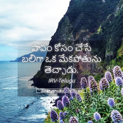 Picture 05 - సంఖ్యాకాండం 7:76 TELIRV - పాపం కోసం చేసే - Bible Verse Picture