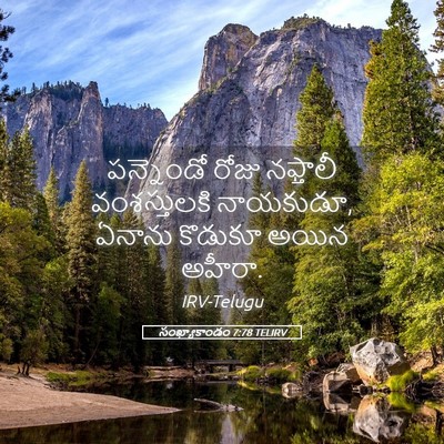 Picture 05 - సంఖ్యాకాండం 7:78 TELIRV - పన్నెండో రోజు - Bible Verse Picture