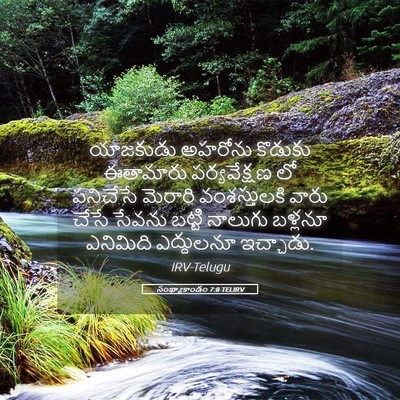 Picture 05 - సంఖ్యాకాండం 7:8 TELIRV - యాజకుడు అహరోను - Bible Verse Picture