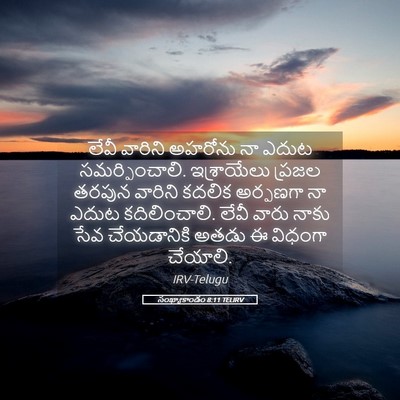 Picture 05 - సంఖ్యాకాండం 8:11 TELIRV - లేవీ వారిని - Bible Verse Picture