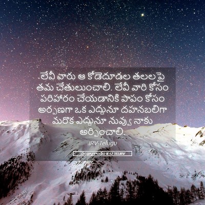 Picture 05 - సంఖ్యాకాండం 8:12 TELIRV - లేవీ వారు ఆ - Bible Verse Picture