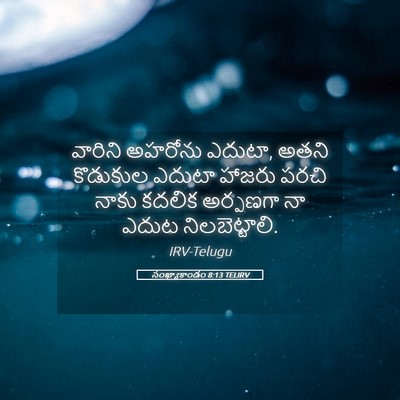 Picture 05 - సంఖ్యాకాండం 8:13 TELIRV - వారిని అహరోను - Bible Verse Picture