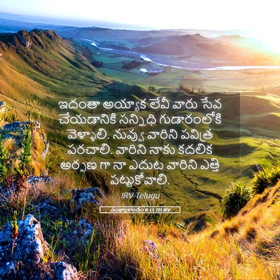 Picture 05 - సంఖ్యాకాండం 8:15 TELIRV - ఇదంతా అయ్యాక లేవీ - Bible Verse Picture