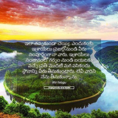 Picture 05 - సంఖ్యాకాండం 8:16 TELIRV - ఇలా తప్పకుండా - Bible Verse Picture