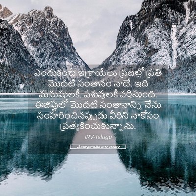 Picture 05 - సంఖ్యాకాండం 8:17 TELIRV - ఎందుకంటే - Bible Verse Picture