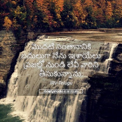 Picture 05 - సంఖ్యాకాండం 8:18 TELIRV - మొదటి సంతానానికి - Bible Verse Picture