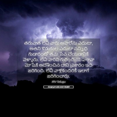 Picture 05 - సంఖ్యాకాండం 8:22 TELIRV - తరువాత లేవీ వారు - Bible Verse Picture
