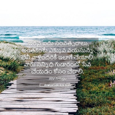 Picture 05 - సంఖ్యాకాండం 8:24 TELIRV - “ఇరవై ఐదు - Bible Verse Picture