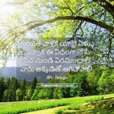 Picture 05 - సంఖ్యాకాండం 8:25 TELIRV - అయితే వాళ్లకి - Bible Verse Picture