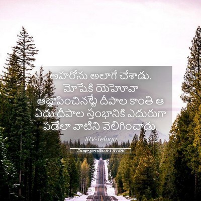 Picture 05 - సంఖ్యాకాండం 8:3 TELIRV - అహరోను అలాగే - Bible Verse Picture