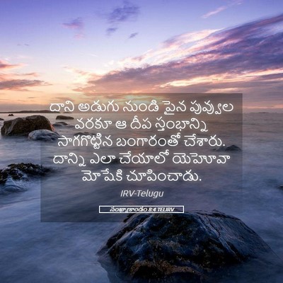 Picture 05 - సంఖ్యాకాండం 8:4 TELIRV - దాని అడుగు నుండి - Bible Verse Picture