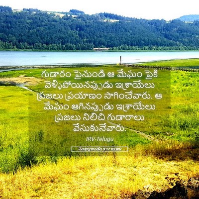 Picture 05 - సంఖ్యాకాండం 9:17 TELIRV - గుడారం పైనుండి ఆ - Bible Verse Picture