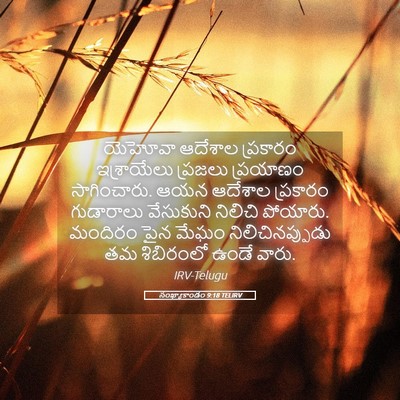 Picture 05 - సంఖ్యాకాండం 9:18 TELIRV - యెహోవా ఆదేశాల - Bible Verse Picture