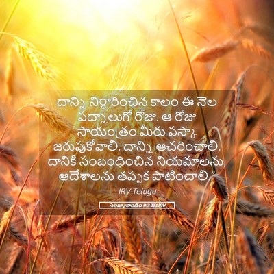 Picture 05 - సంఖ్యాకాండం 9:3 TELIRV - దాన్ని - Bible Verse Picture