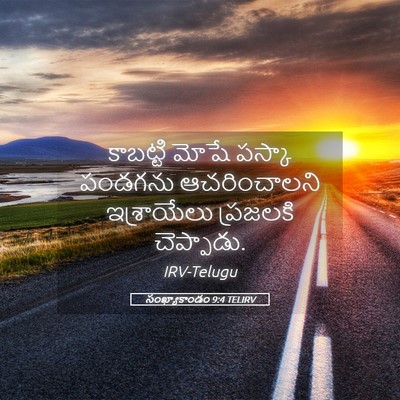 Picture 05 - సంఖ్యాకాండం 9:4 TELIRV - కాబట్టి మోషే - Bible Verse Picture