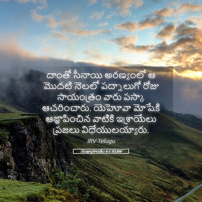 Picture 05 - సంఖ్యాకాండం 9:5 TELIRV - దాంతో సీనాయి - Bible Verse Picture