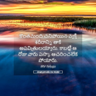 Picture 05 - సంఖ్యాకాండం 9:6 TELIRV - కొంతమంది చనిపోయిన - Bible Verse Picture