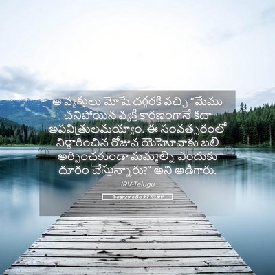 Picture 05 - సంఖ్యాకాండం 9:7 TELIRV - ఆ వ్యక్తులు మోషే - Bible Verse Picture