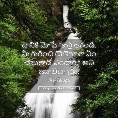 Picture 05 - సంఖ్యాకాండం 9:8 TELIRV - దానికి మోషే - Bible Verse Picture