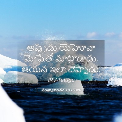 Picture 05 - సంఖ్యాకాండం 9:9 TELIRV - అప్పుడు యెహోవా - Bible Verse Picture