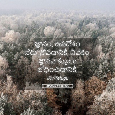 Picture 05 - సామెత 1:2 TELIRV - జ్ఞానం, ఉపదేశం - Bible Verse Picture