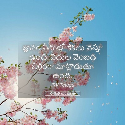 Picture 05 - సామెత 1:20 TELIRV - జ్ఞానం వీధుల్లో - Bible Verse Picture
