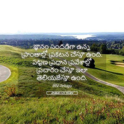 Picture 05 - సామెత 1:21 TELIRV - జ్ఞానం సందడిగా - Bible Verse Picture