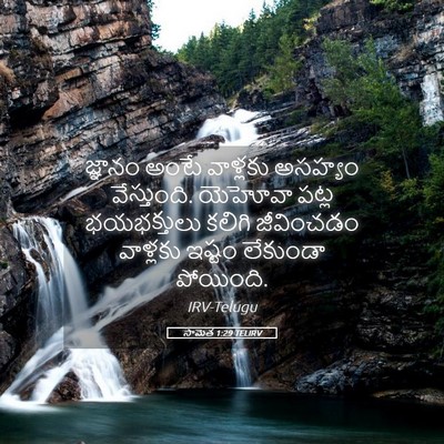 Picture 05 - సామెత 1:29 TELIRV - జ్ఞానం అంటే - Bible Verse Picture