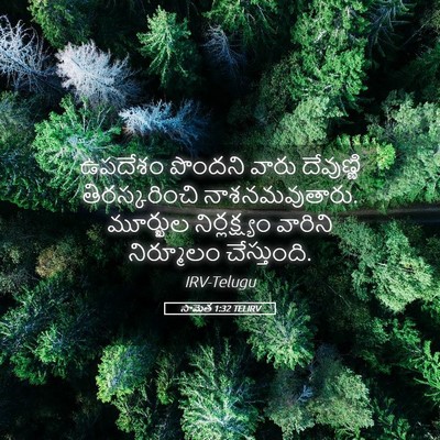 Picture 05 - సామెత 1:32 TELIRV - ఉపదేశం పొందని - Bible Verse Picture
