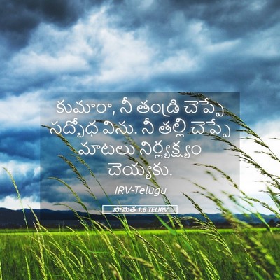 Picture 05 - సామెత 1:8 TELIRV - కుమారా, నీ తండ్రి - Bible Verse Picture
