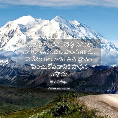 Picture 05 - సామెత 10:23 TELIRV - మూర్ఖులు తమ చెడ్డ - Bible Verse Picture