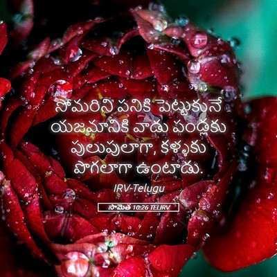 Picture 05 - సామెత 10:26 TELIRV - సోమరిని పనికి - Bible Verse Picture