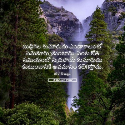 Picture 05 - సామెత 10:5 TELIRV - బుద్ధిగల కుమారుడు - Bible Verse Picture
