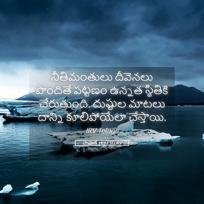 Picture 05 - సామెత 11:11 TELIRV - నీతిమంతులు - Bible Verse Picture