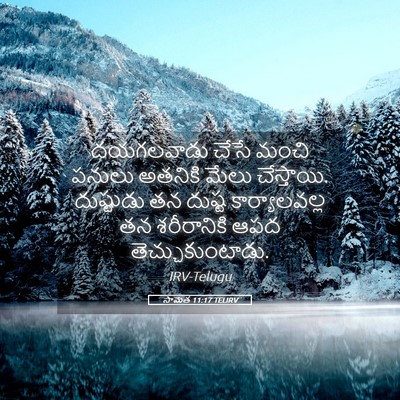 Picture 05 - సామెత 11:17 TELIRV - దయగలవాడు చేసే - Bible Verse Picture