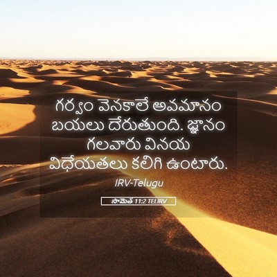 Picture 05 - సామెత 11:2 TELIRV - గర్వం వెనకాలే - Bible Verse Picture