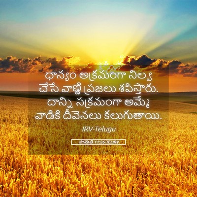 Picture 05 - సామెత 11:26 TELIRV - ధాన్యం అక్రమంగా - Bible Verse Picture
