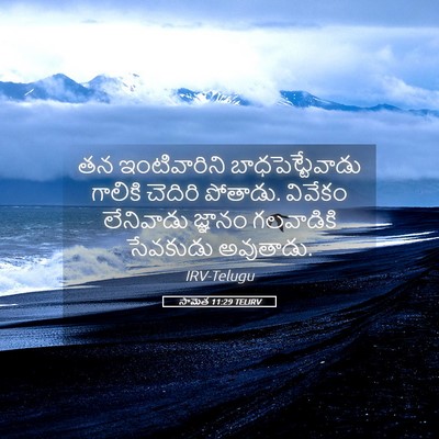 Picture 05 - సామెత 11:29 TELIRV - తన ఇంటివారిని - Bible Verse Picture